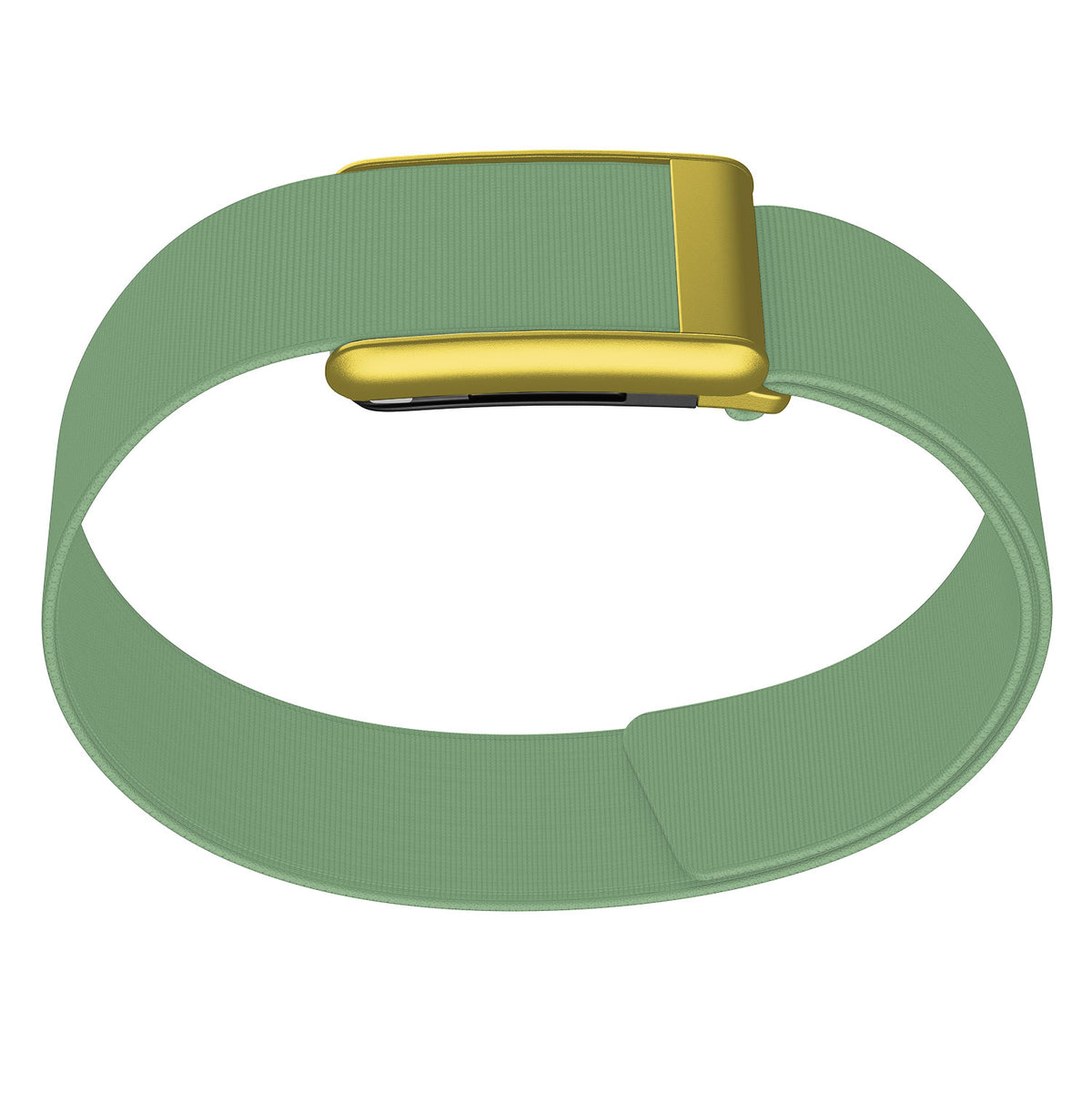 WHOOP 5.0 Bicep Band (Waterproof) — Matte Gold - 绿色