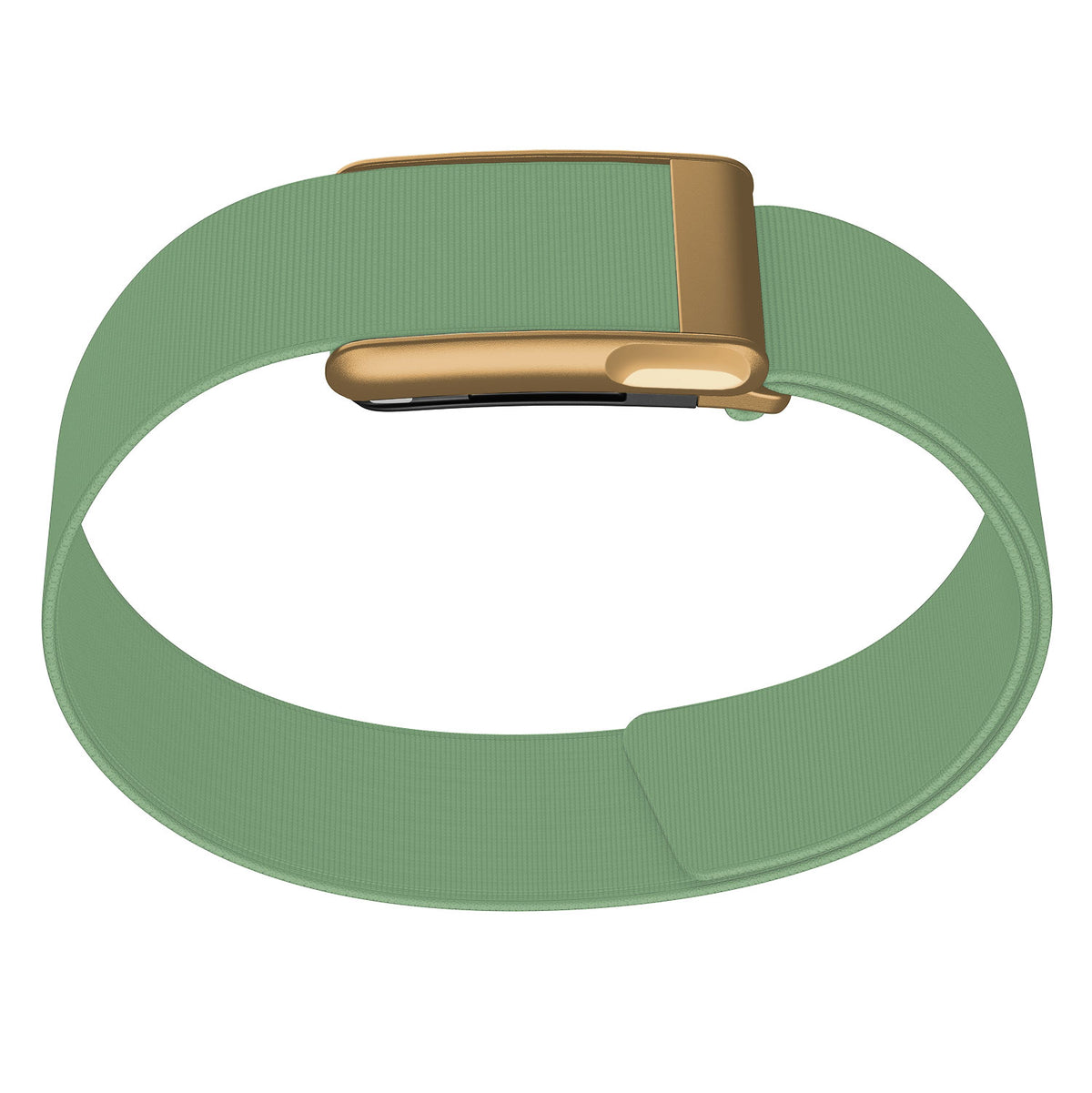 WHOOP 5.0 Bicep Band (Waterproof) — Matte Rose Gold (MG) - 绿色