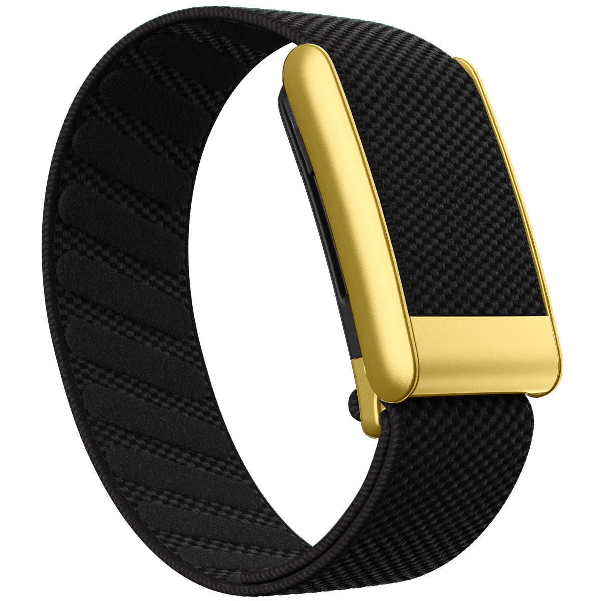 WHOOP 5.0 Standard Woven Band — Matte Gold - 全黑