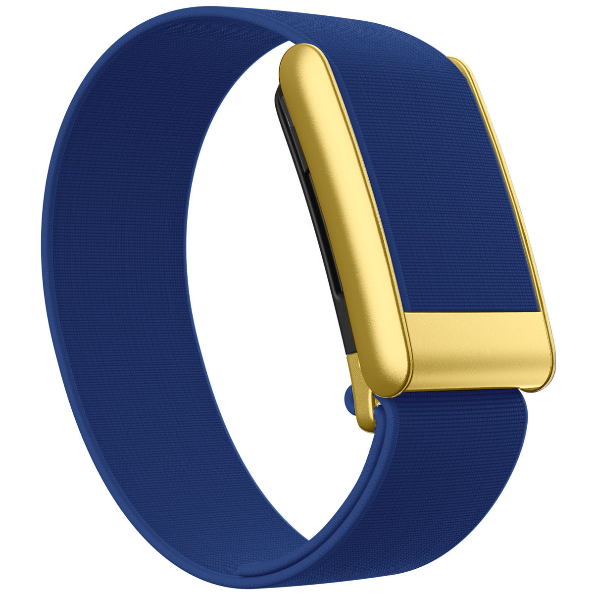 WHOOP 5.0 Waterproof Band — Matte Gold - 蓝色