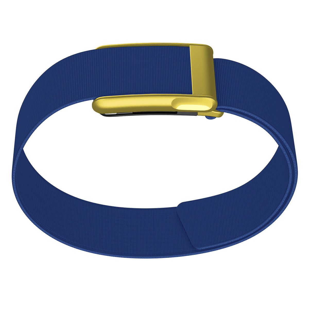 WHOOP 5.0 Bicep Band (Waterproof) — Matte Gold (MG) - 蓝色