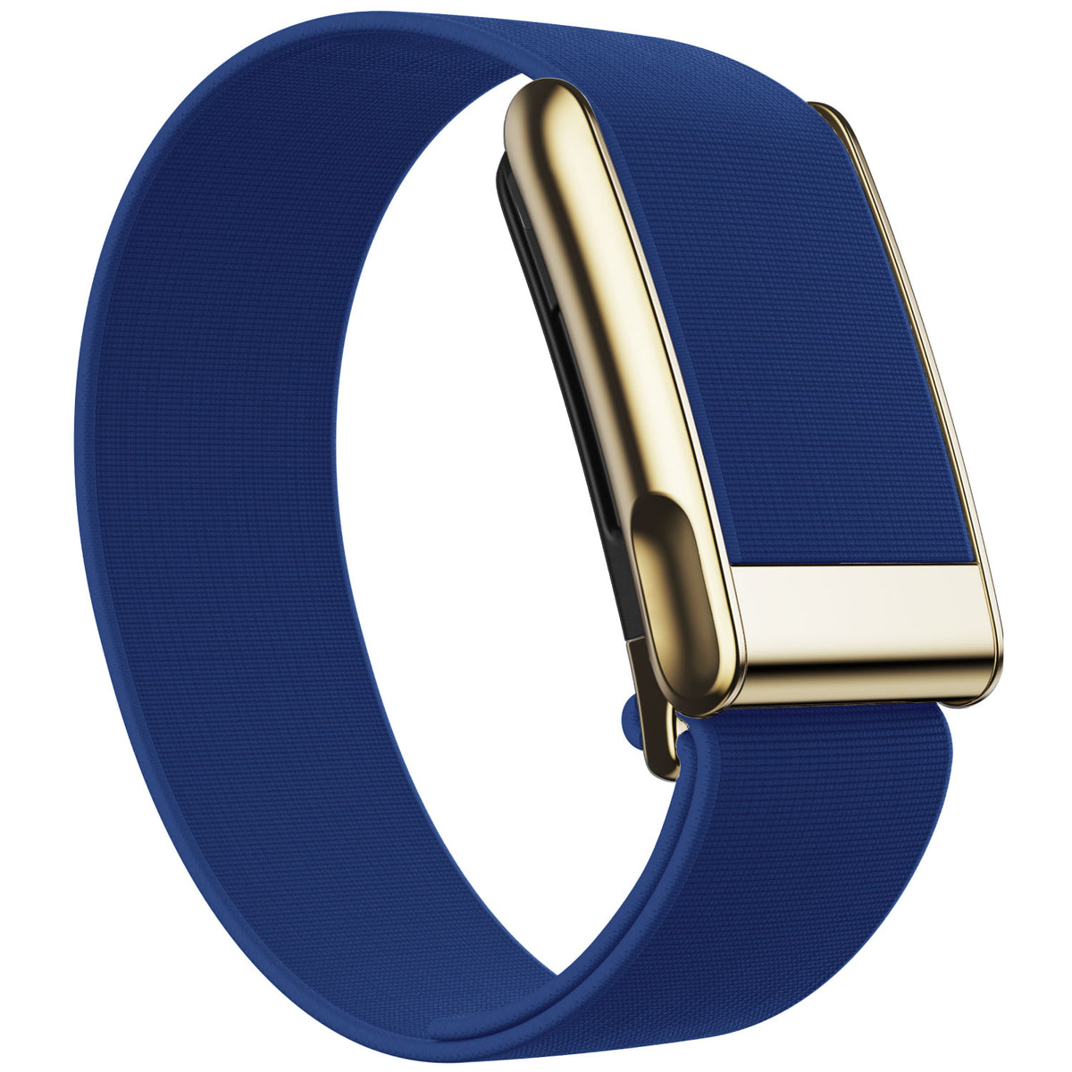 WHOOP 5.0 Waterproof Band — Titanium Gold (MG) - 蓝色