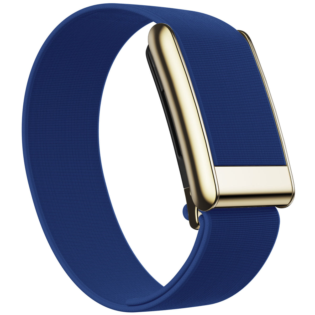 WHOOP 5.0 Waterproof Band — Titanium Gold - 蓝色