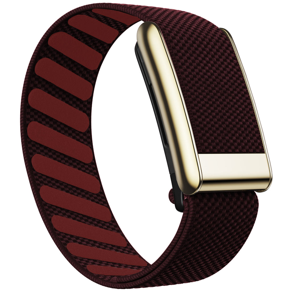 WHOOP 5.0 Standard Woven Band — Titanium Gold - 铁锈红