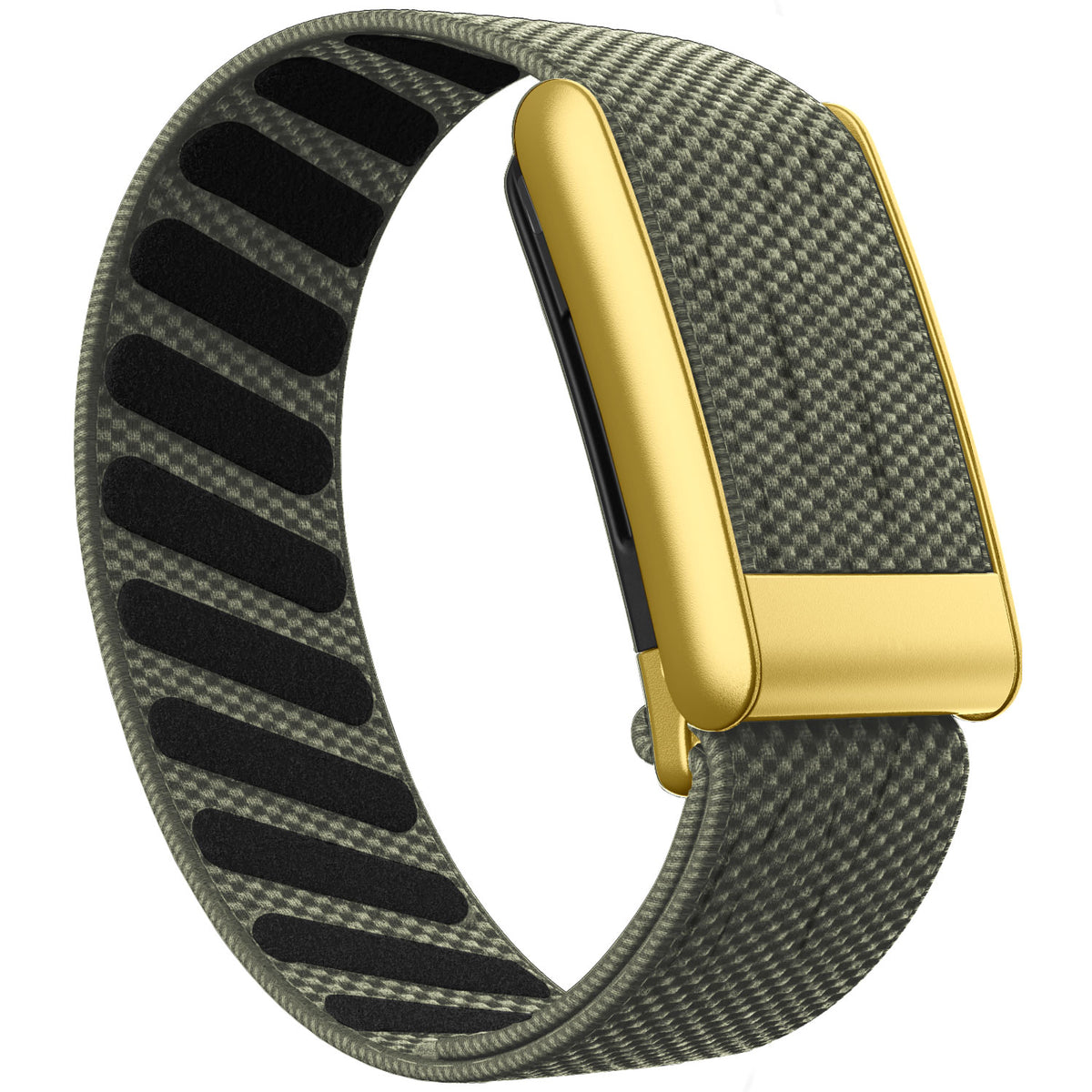 WHOOP 5.0 Standard Woven Band — Matte Gold - 灰绿