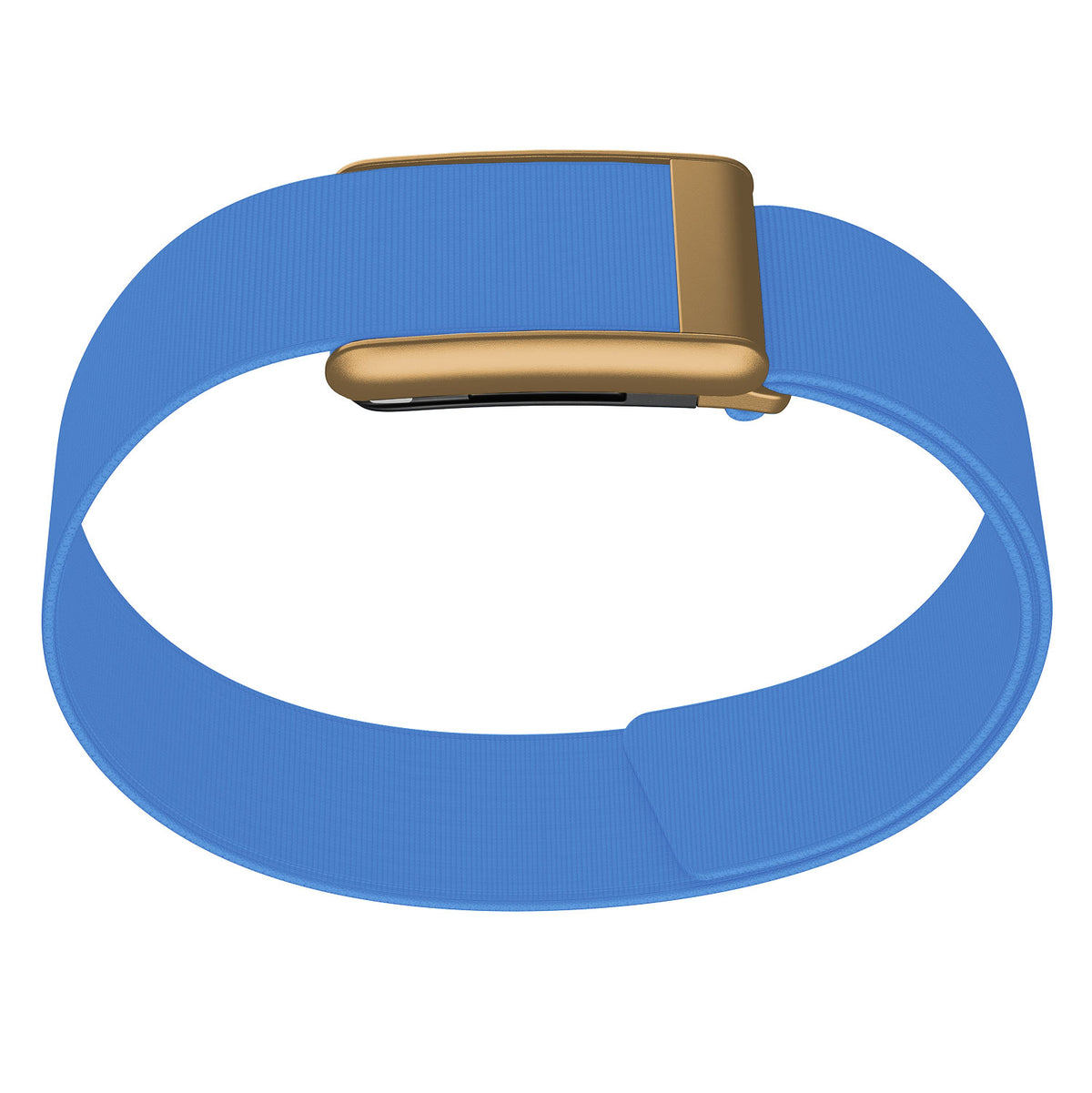WHOOP 5.0 Bicep Band (Waterproof) — Matte Rose Gold - 亮蓝