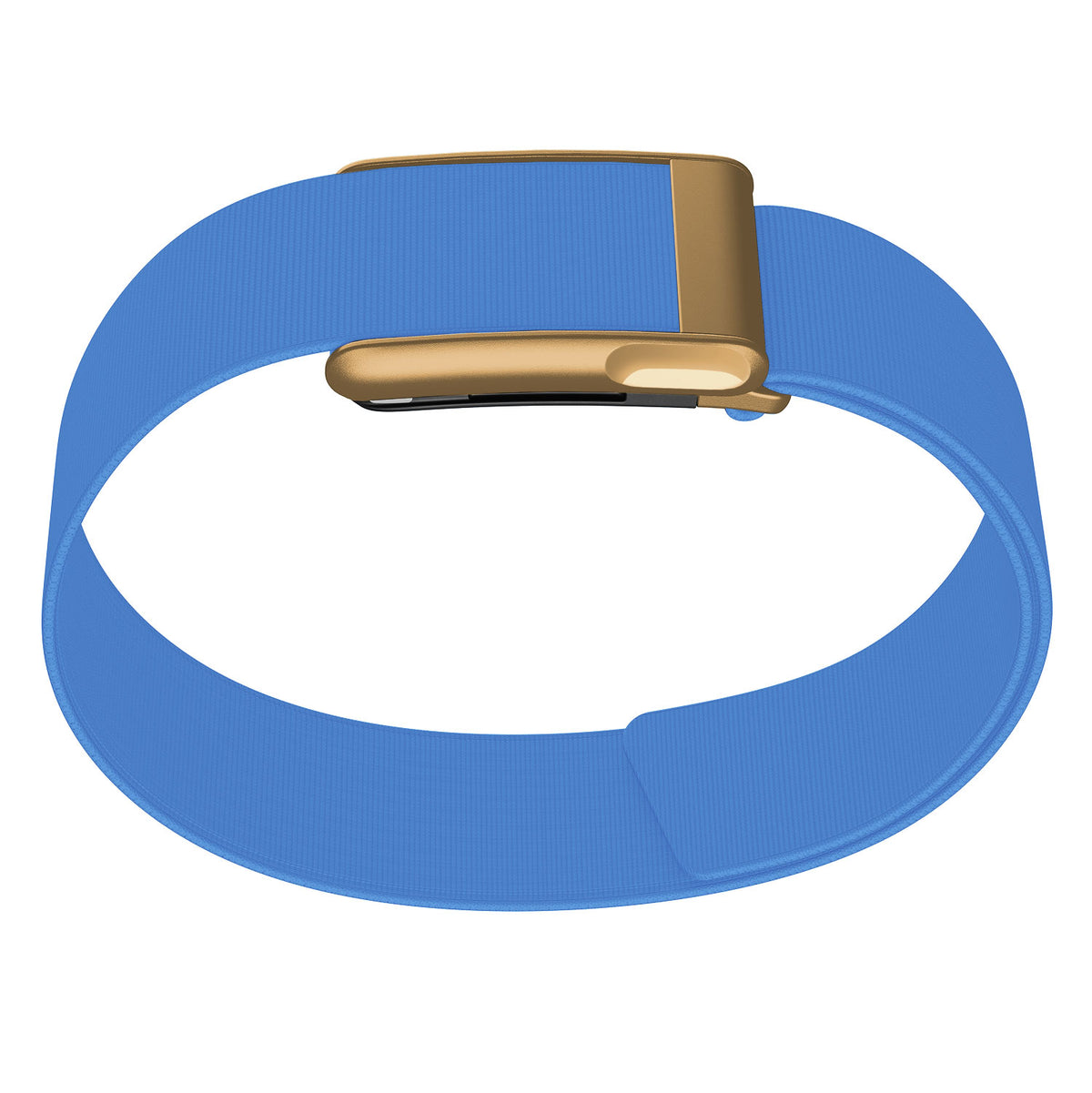 WHOOP 5.0 Bicep Band (Waterproof) — Matte Rose Gold (MG) - 亮蓝