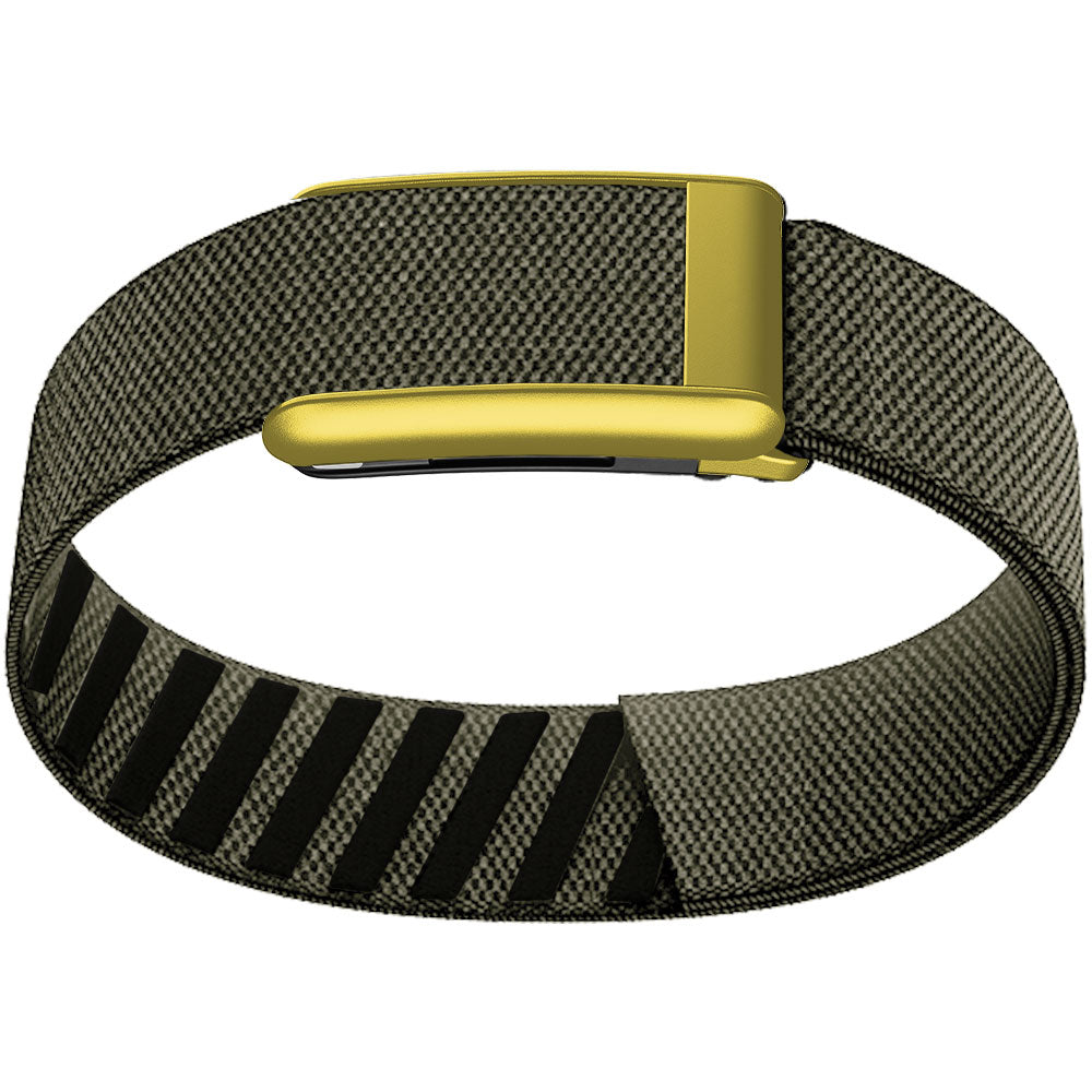 WHOOP 5.0 Bicep Band (Standard) — Matte Gold - 灰绿