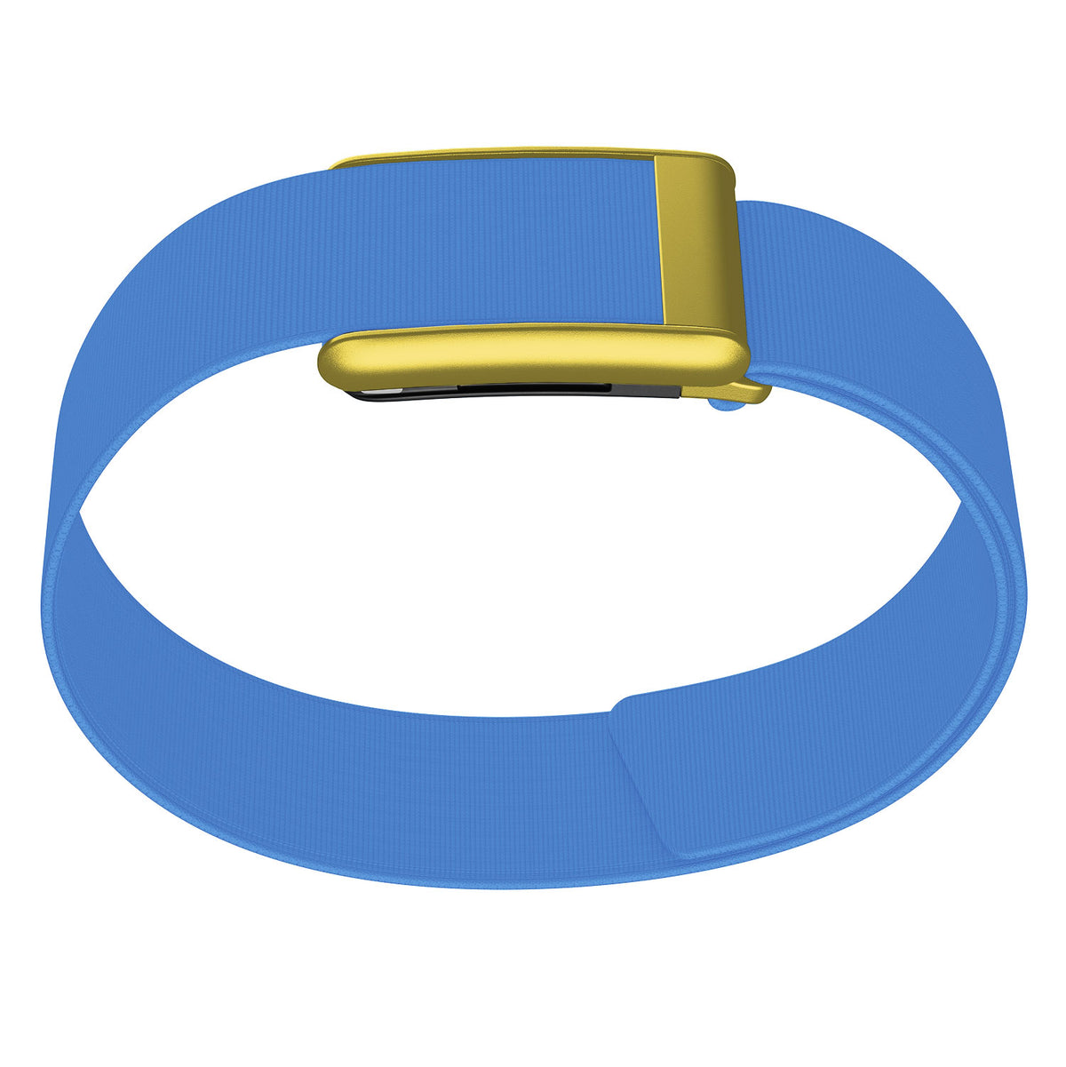 WHOOP 5.0 Bicep Band (Waterproof) — Matte Gold - 亮蓝