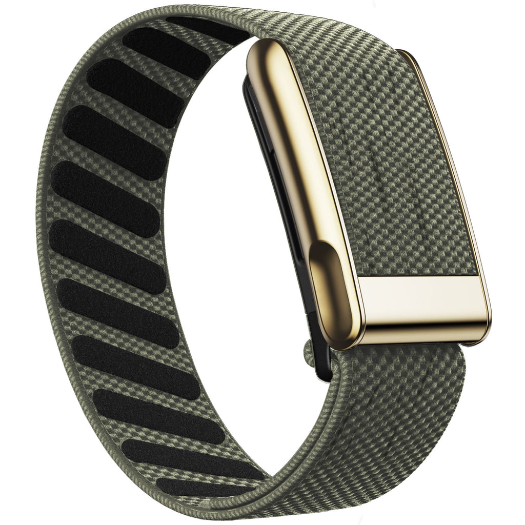 WHOOP 5.0 Standard Woven Band — Titanium Gold (MG) - 灰绿