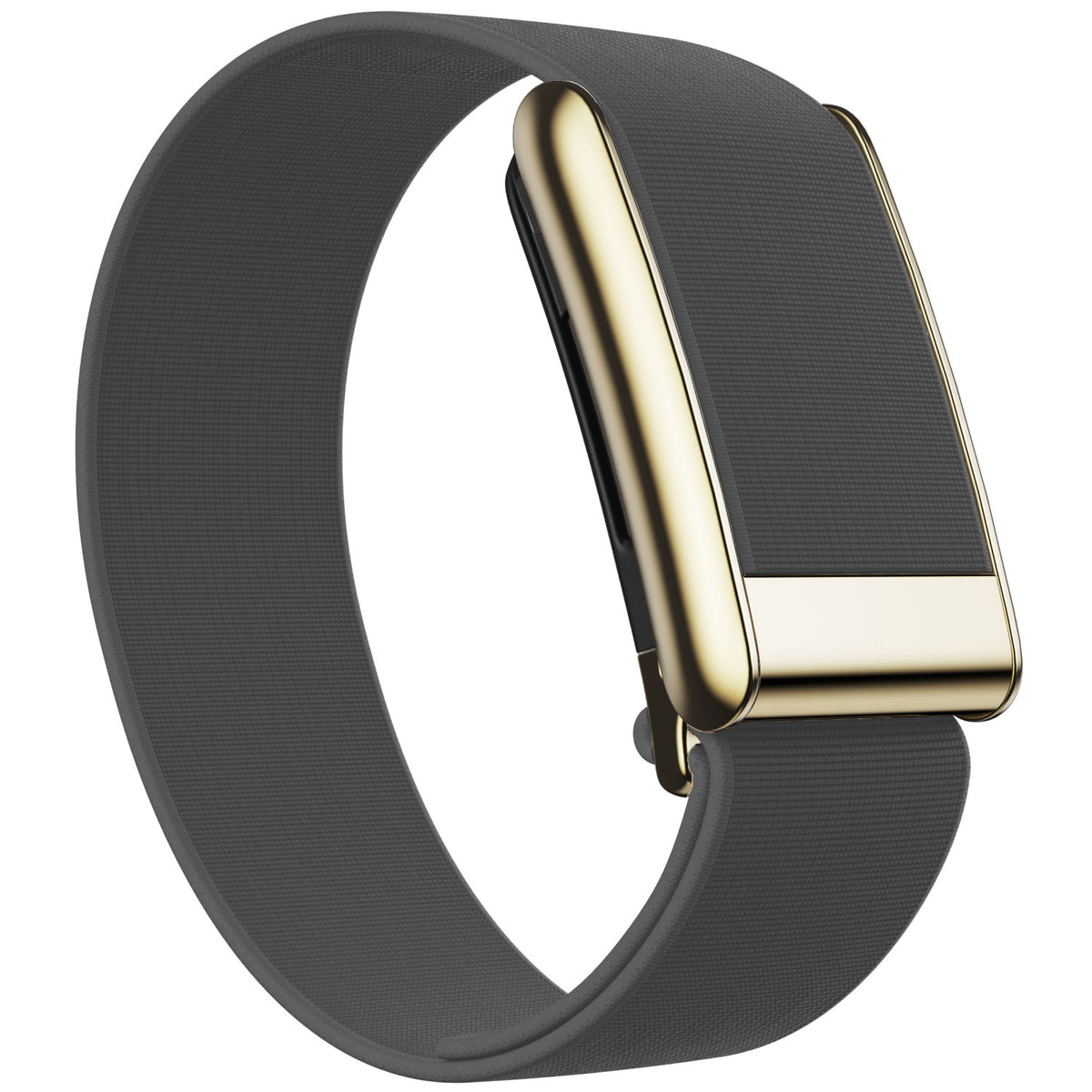 WHOOP 5.0 Waterproof Band — Titanium Gold - 灰色