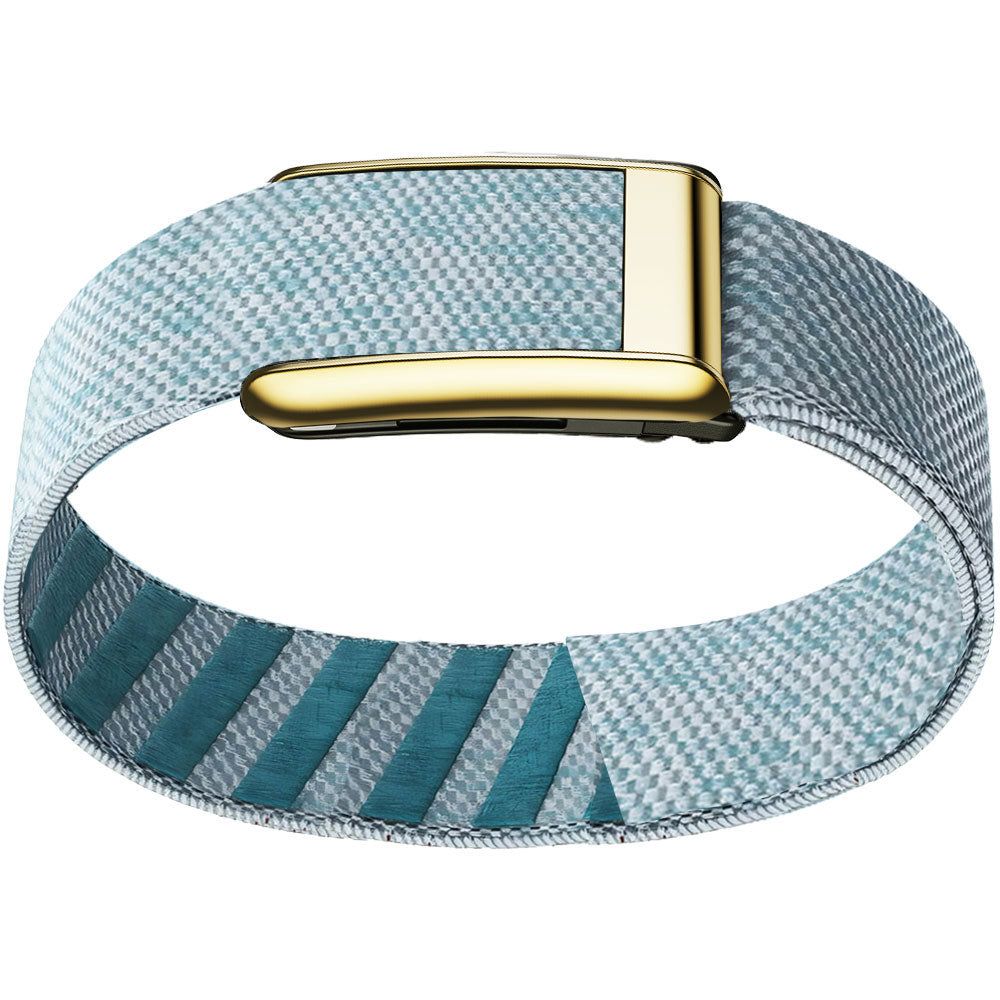WHOOP 5.0 Bicep Band (Standard) — Titanium Gold - 钻石蓝