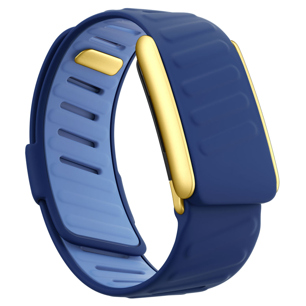 WHOOP 5.0 Silicone Band — Matte Gold - 深蓝色