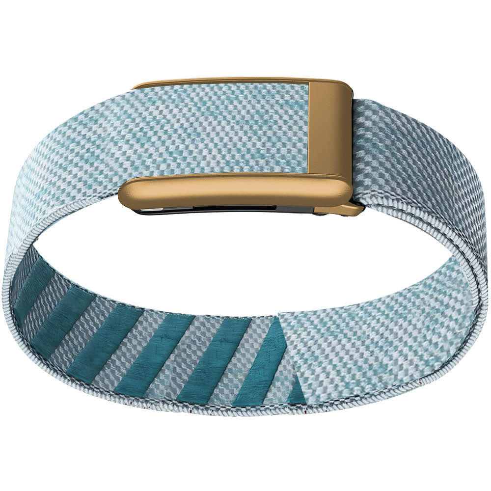 WHOOP 5.0 Bicep Band (Standard) — Matte Rose Gold - 钻石蓝
