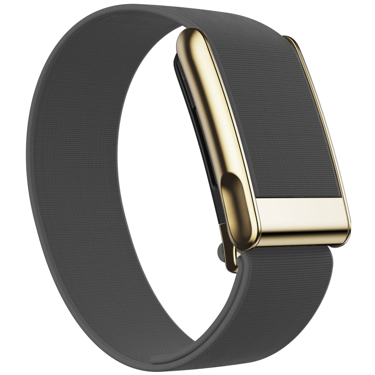 WHOOP 5.0 Waterproof Band — Titanium Gold (MG) - 灰色