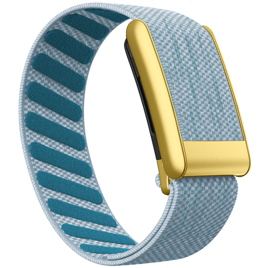 WHOOP 5.0 Standard Woven Band — Matte Gold - 钻石蓝
