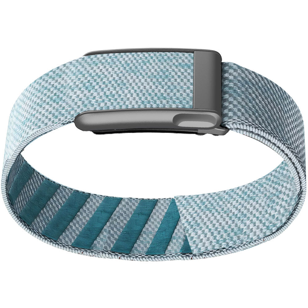 WHOOP 5.0 Bicep Band (Standard) — Matte Silver (MG) - 钻石蓝