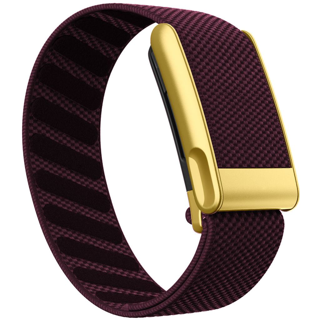 WHOOP 5.0 Standard Woven Band — Matte Gold (MG) - 梅子