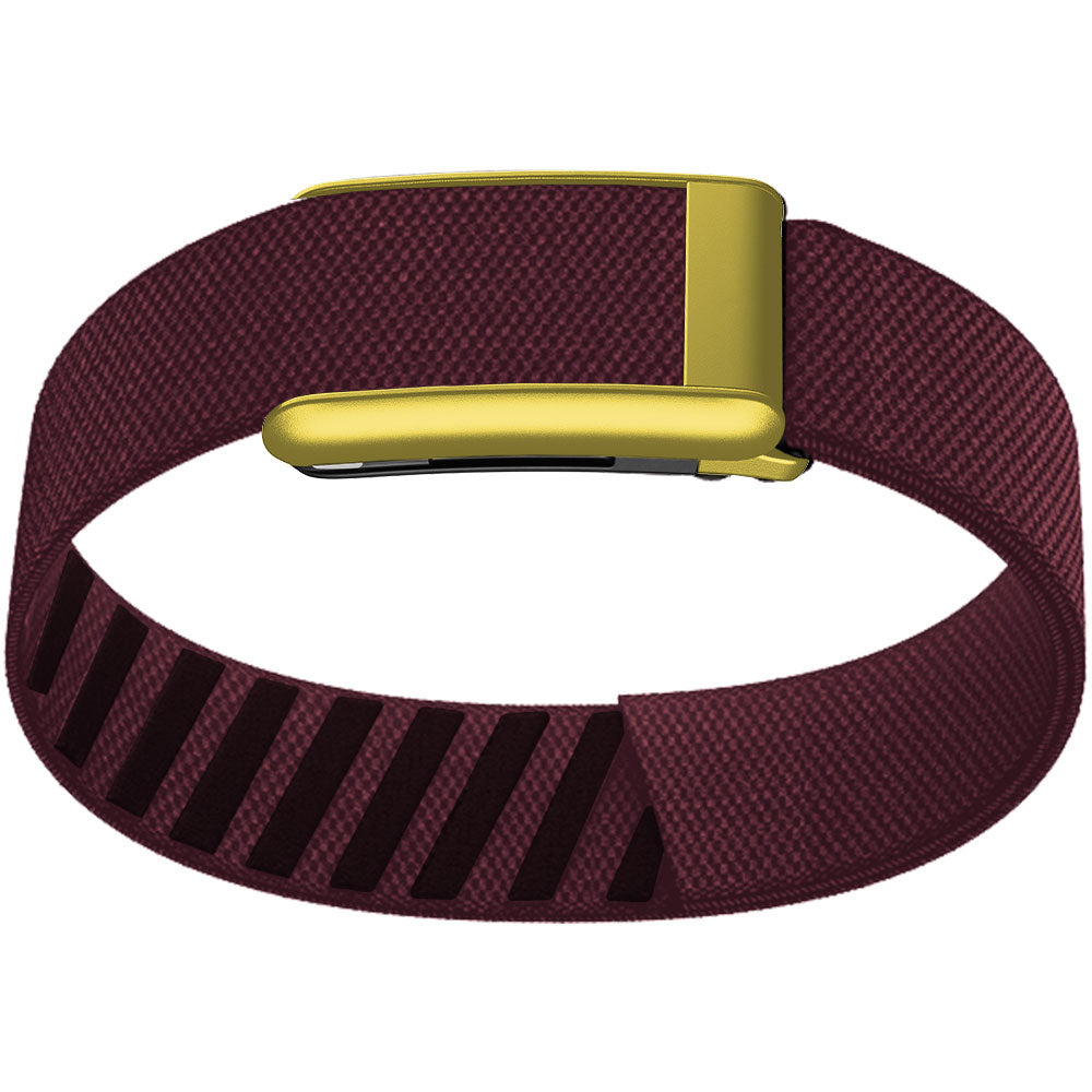 WHOOP 5.0 Bicep Band (Standard) — Matte Gold - 梅子