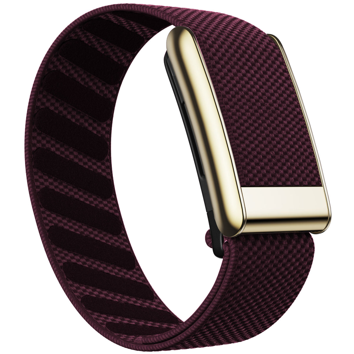 WHOOP 5.0 Standard Woven Band — Titanium Gold - 梅子