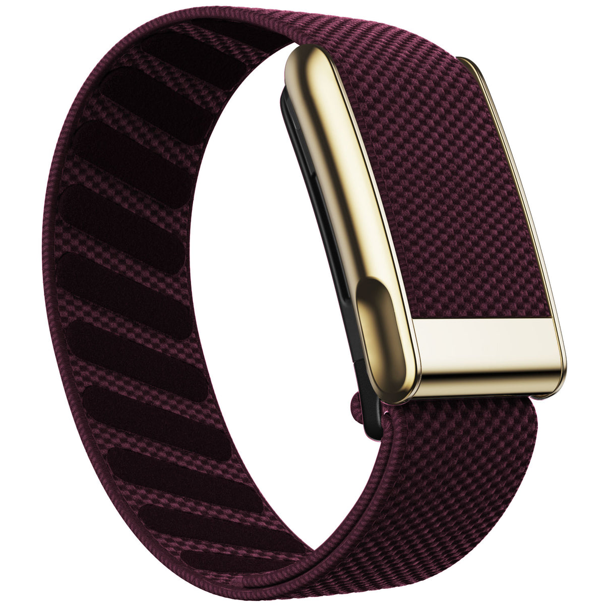 WHOOP 5.0 Standard Woven Band — Titanium Gold (MG) - 梅子