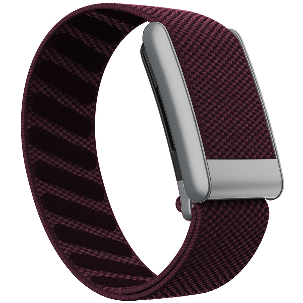 WHOOP 5.0 Standard Woven Band — Matte Silver - 梅子