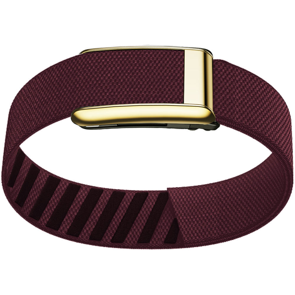 WHOOP 5.0 Bicep Band (Standard) — Titanium Gold - 梅子