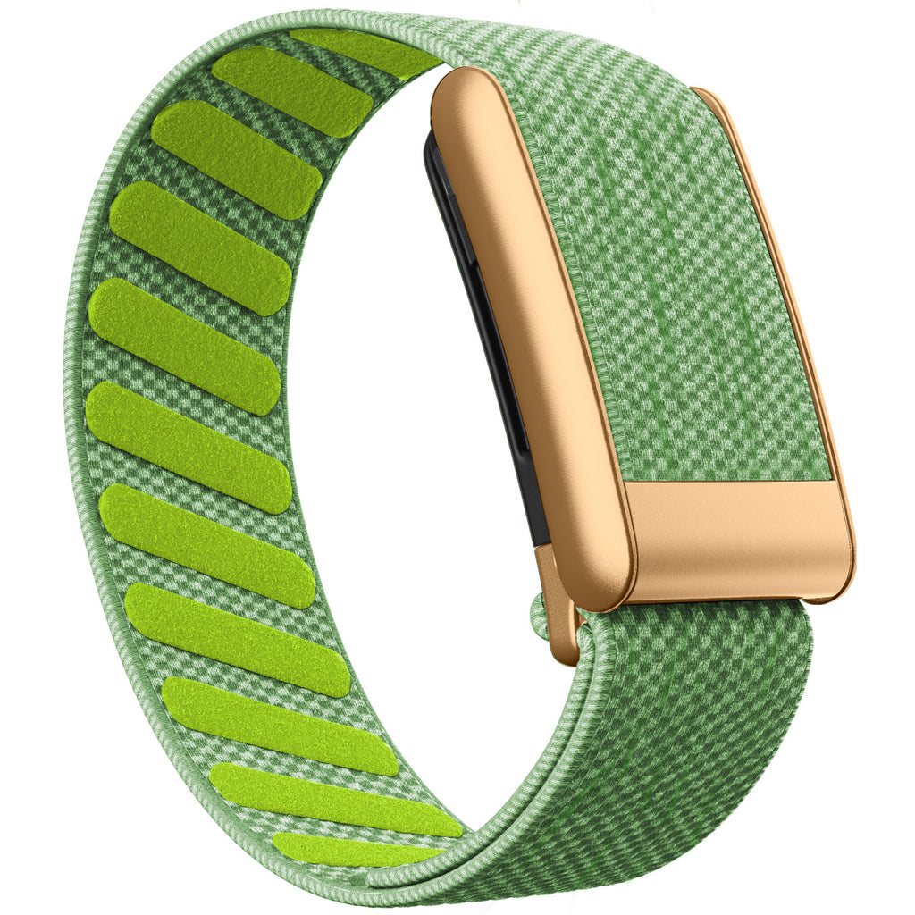 WHOOP 5.0 Standard Woven Band — Matte Rose Gold - 青柠