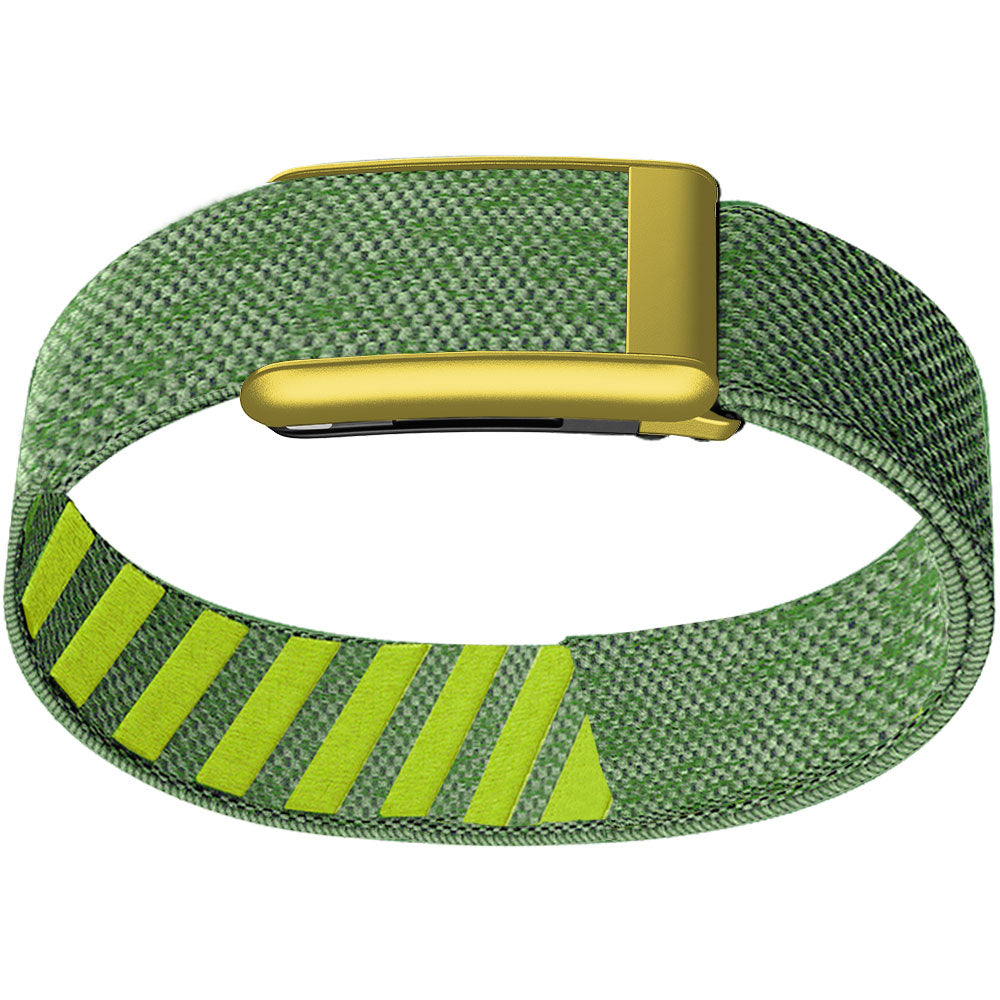 WHOOP 5.0 Bicep Band (Standard) — Matte Gold - 青柠