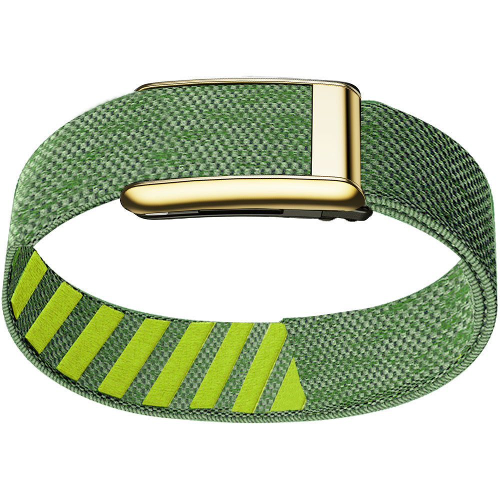 WHOOP 5.0 Bicep Band (Standard) — Titanium Gold - 青柠