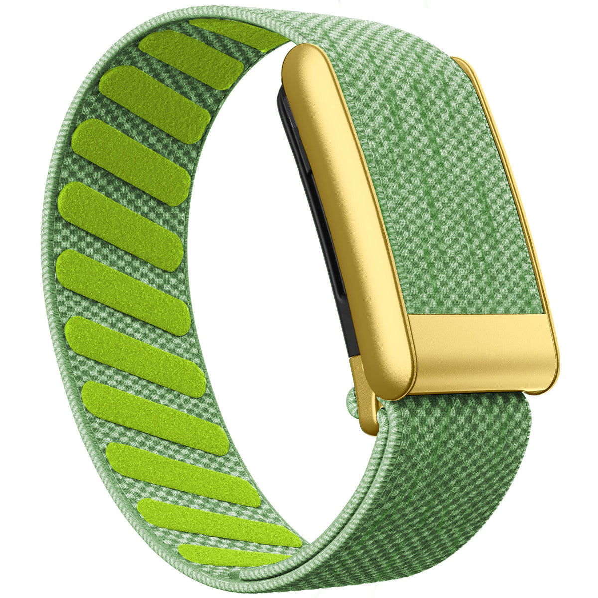 WHOOP 5.0 Standard Woven Band — Matte Gold - 青柠