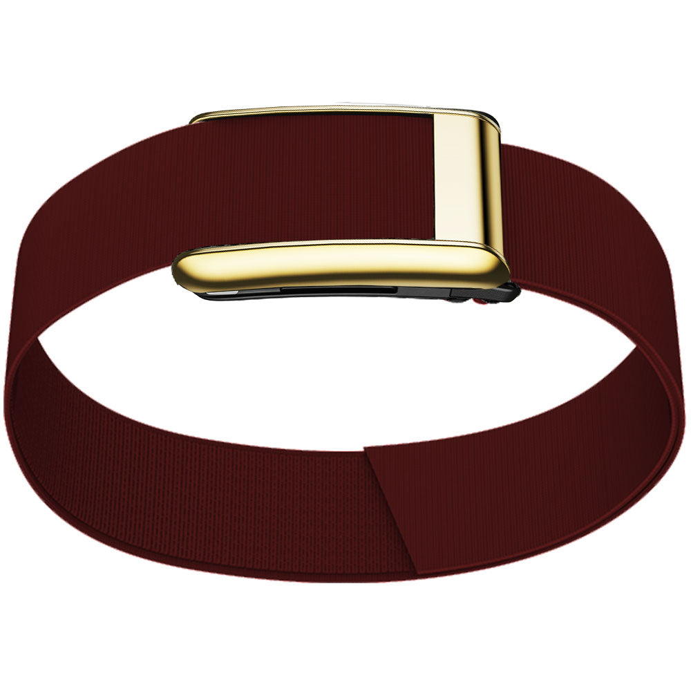 WHOOP 5.0 Bicep Band (Waterproof) — Titanium Gold - 深红色