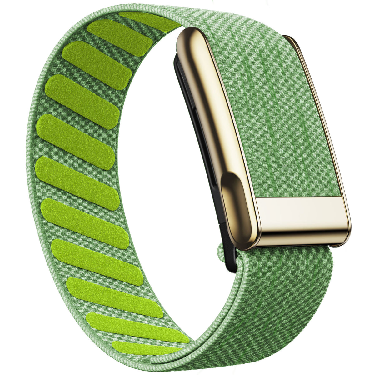WHOOP 5.0 Standard Woven Band — Titanium Gold (MG) - 青柠