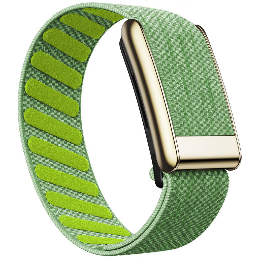 WHOOP 5.0 Standard Woven Band — Titanium Gold - 青柠