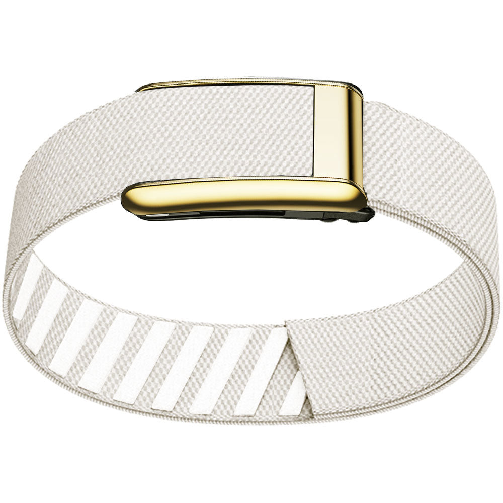 WHOOP 5.0 Bicep Band (Standard) — Titanium Gold - 石头