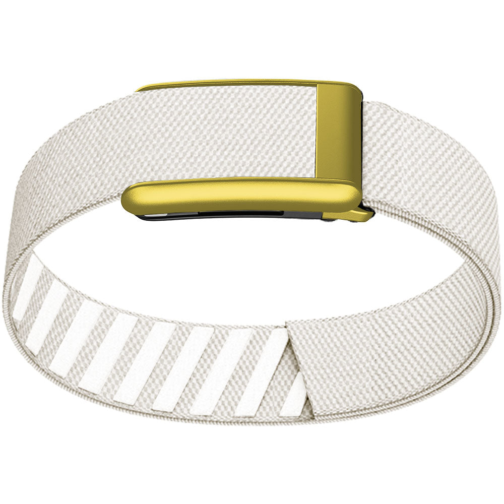 WHOOP 5.0 Bicep Band (Standard) — Matte Gold - 石头
