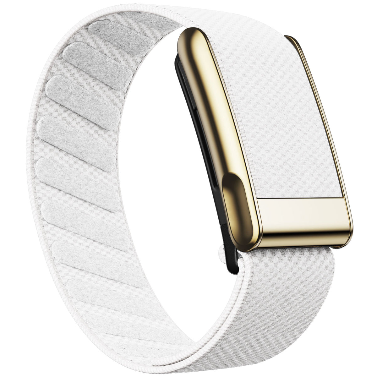 WHOOP 5.0 Standard Woven Band — Titanium Gold (MG) - 白色