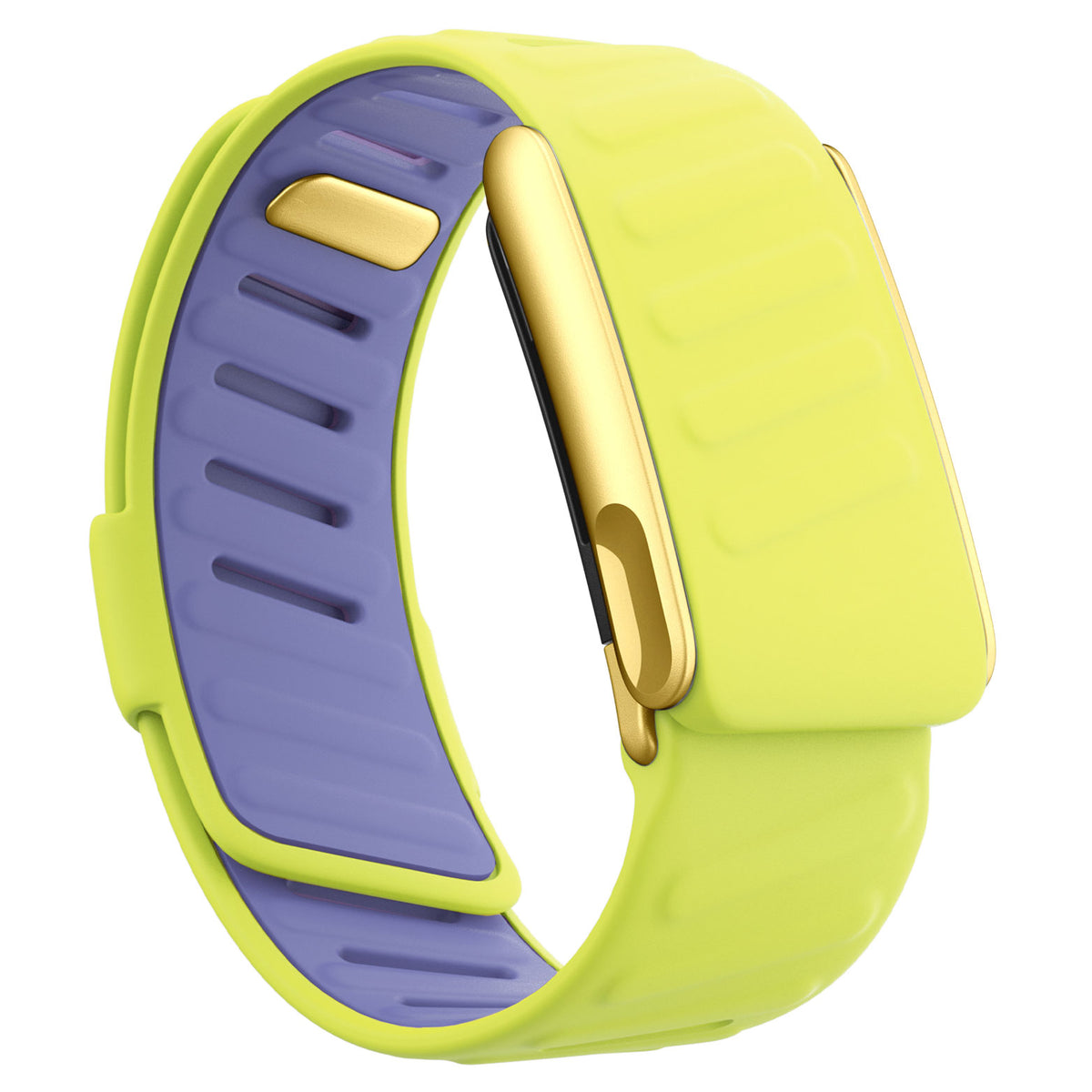 WHOOP 5.0 Silicone Band — Matte Gold (MG) - 黄色+紫色