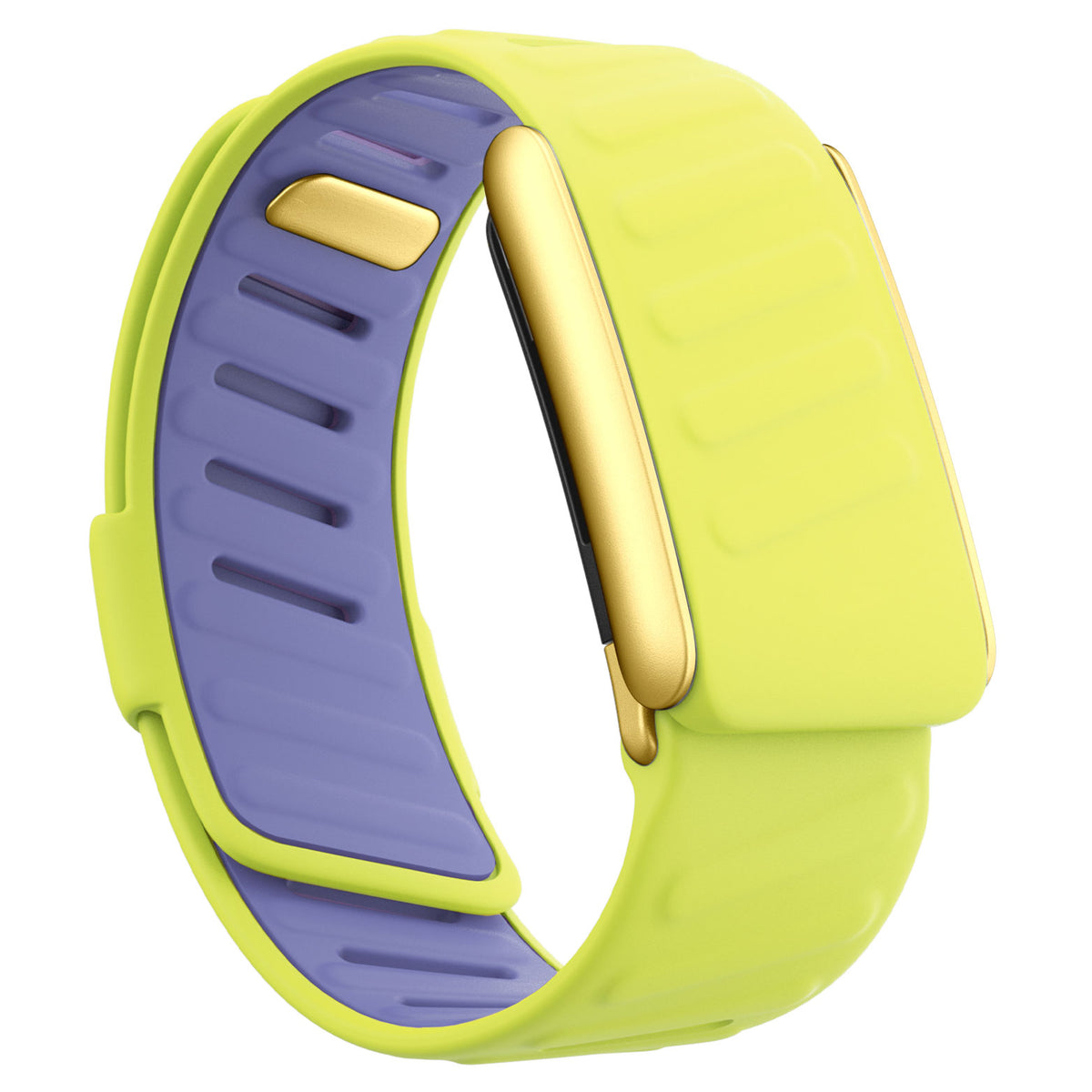 WHOOP 5.0 Silicone Band — Matte Gold - 黄色+紫色
