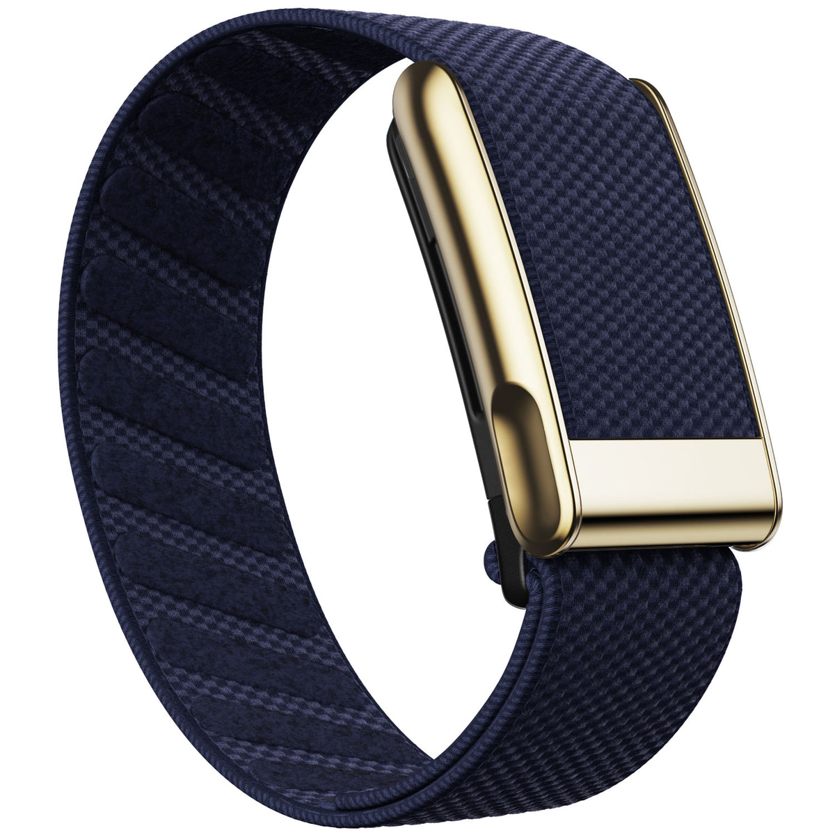 WHOOP 5.0 Standard Woven Band — Titanium Gold (MG) - 午夜蓝