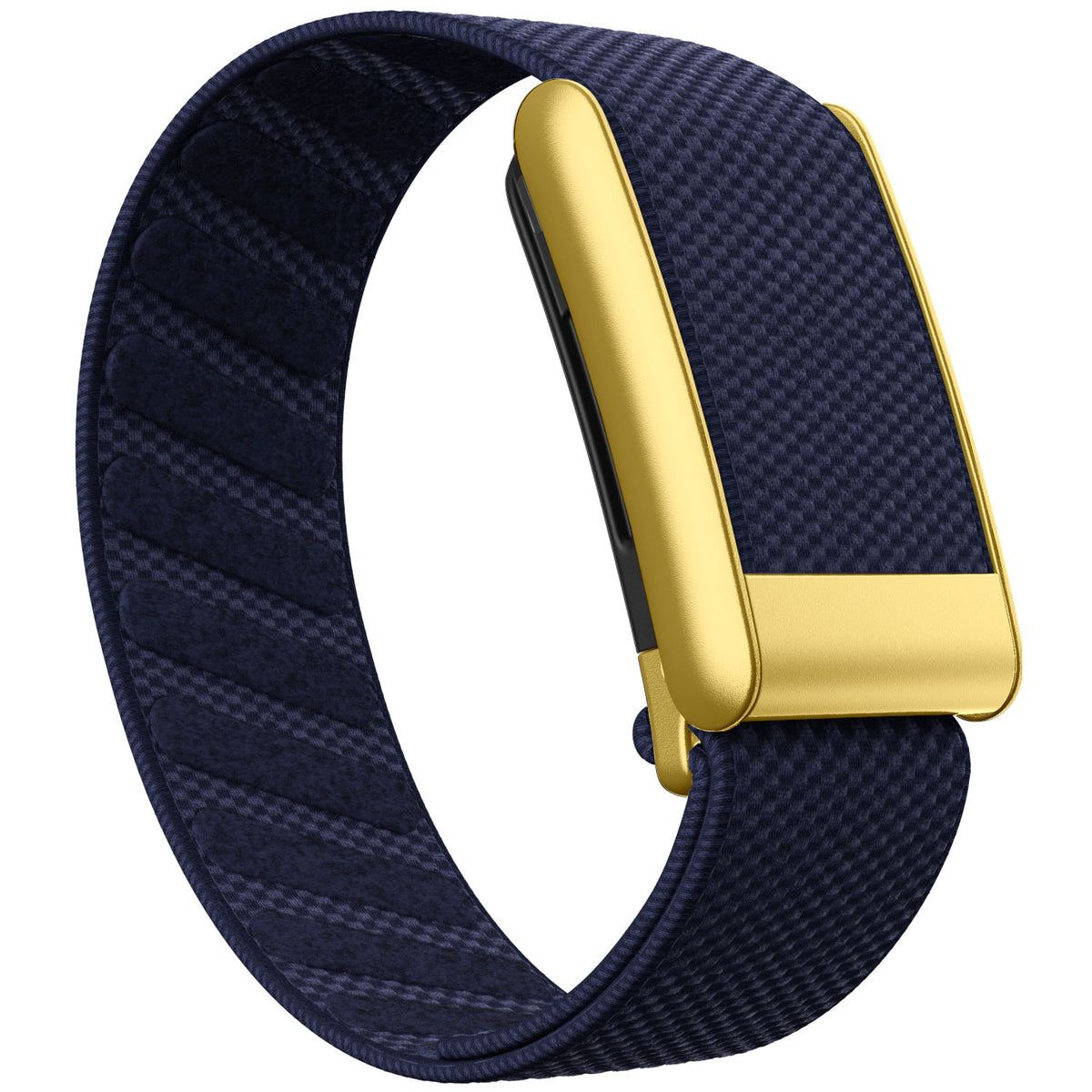 WHOOP 5.0 Standard Woven Band — Matte Gold - 午夜蓝