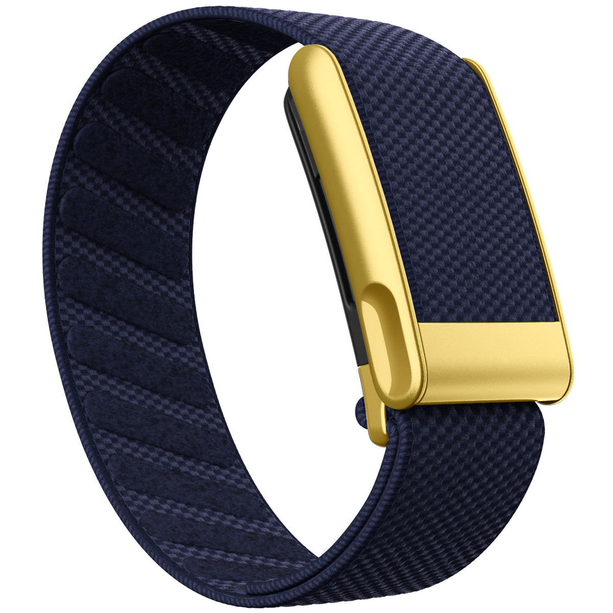 WHOOP 5.0 Standard Woven Band — Matte Gold (MG) - 午夜蓝