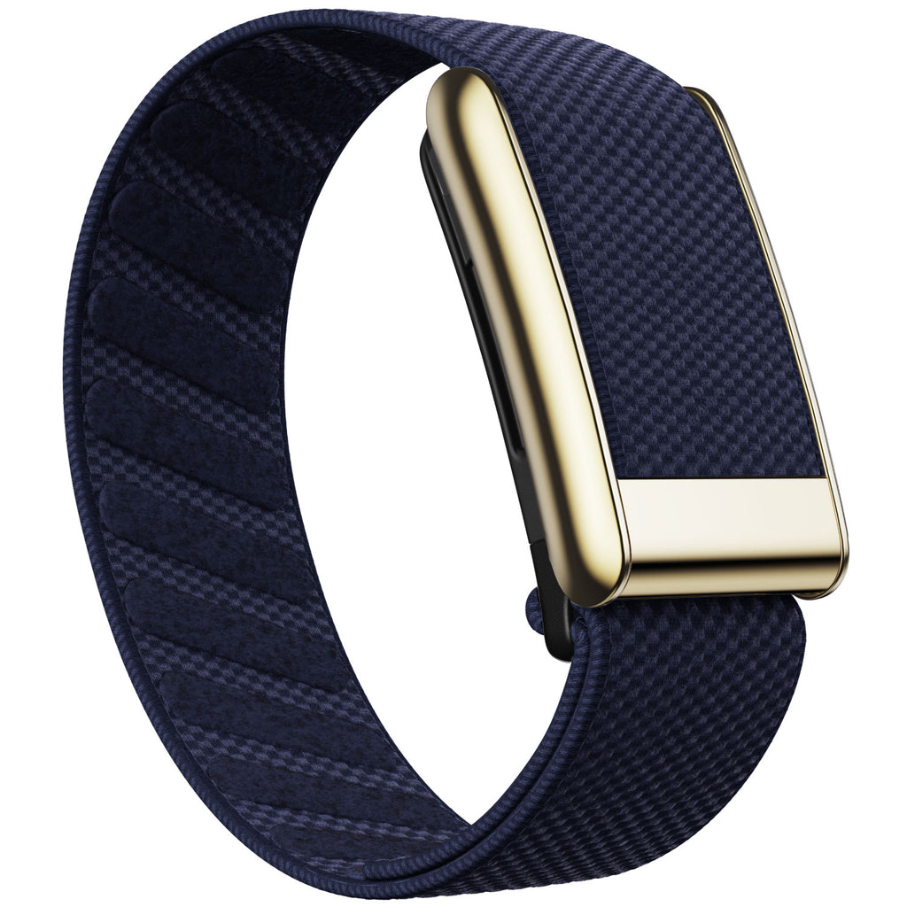 WHOOP 5.0 Standard Woven Band — Titanium Gold - 午夜蓝
