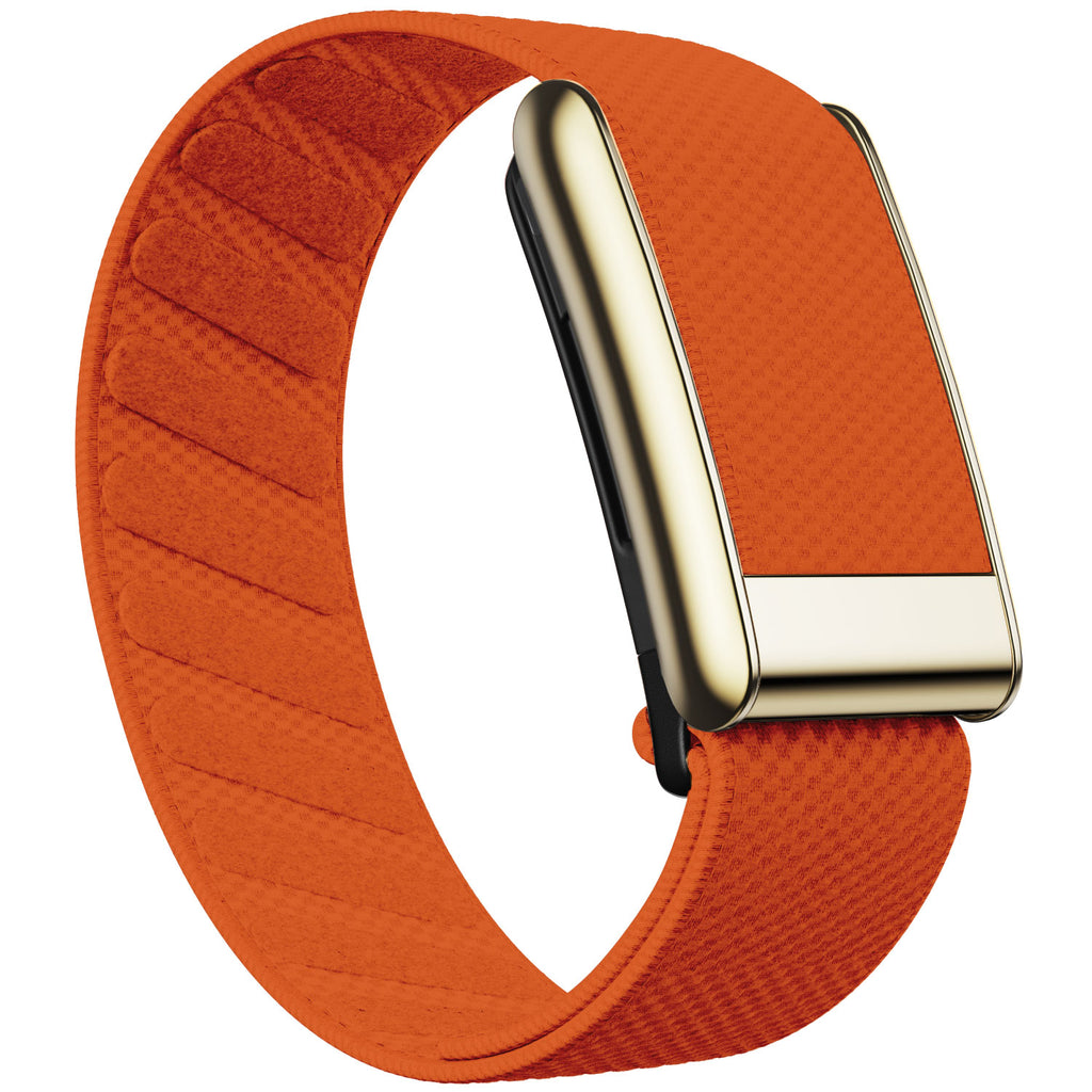 WHOOP 5.0 Standard Woven Band — Titanium Gold - 橙色