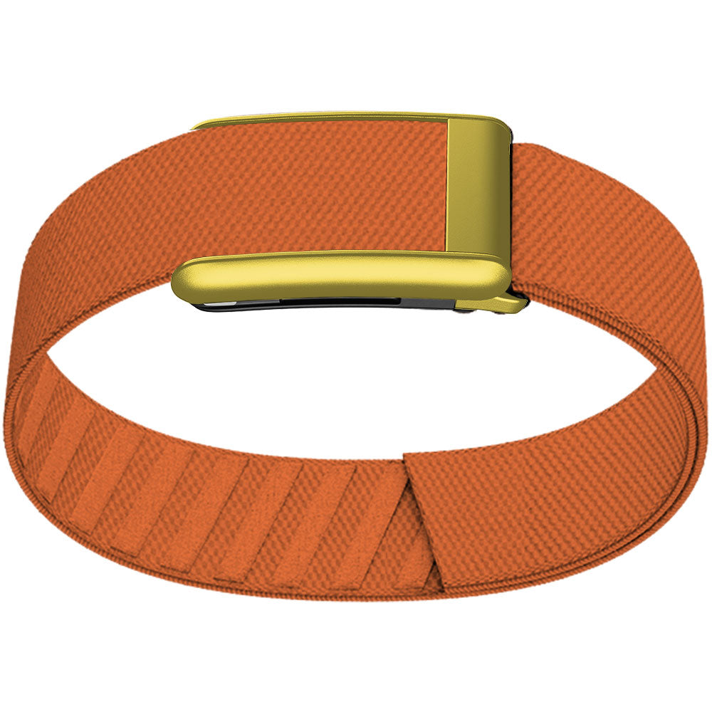 WHOOP 5.0 Bicep Band (Standard) — Matte Gold - 橙色