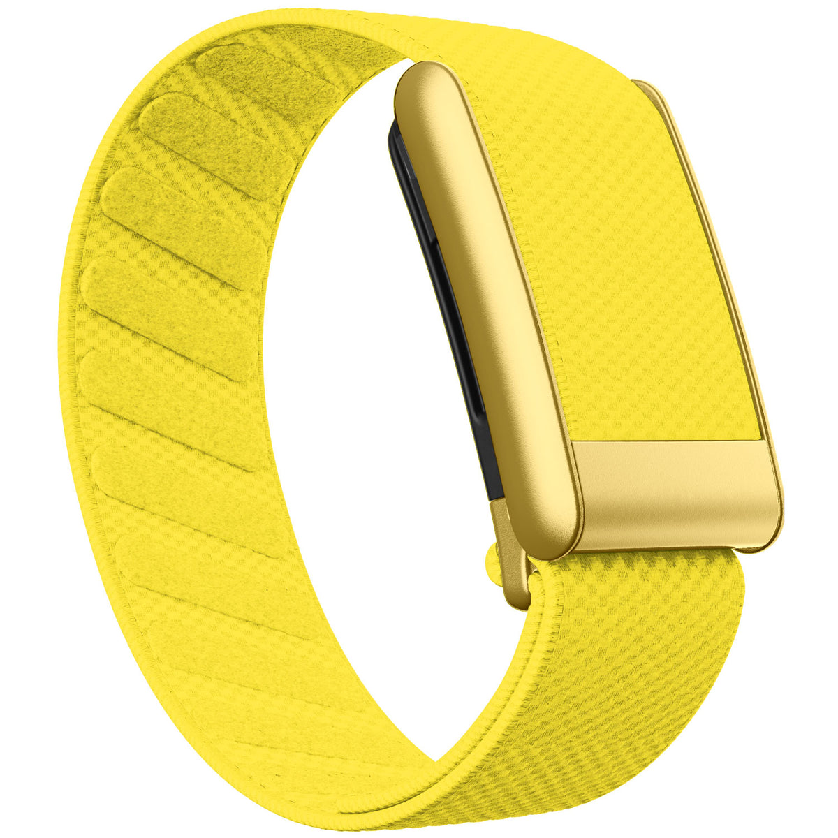 WHOOP 5.0 Standard Woven Band — Matte Gold - 黄色