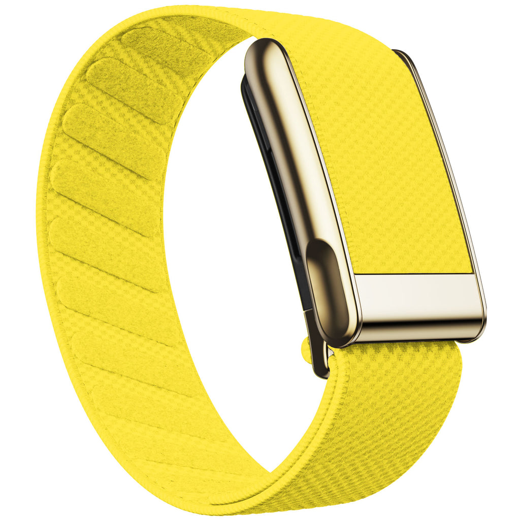 WHOOP 5.0 Standard Woven Band — Titanium Gold (MG) - 黄色