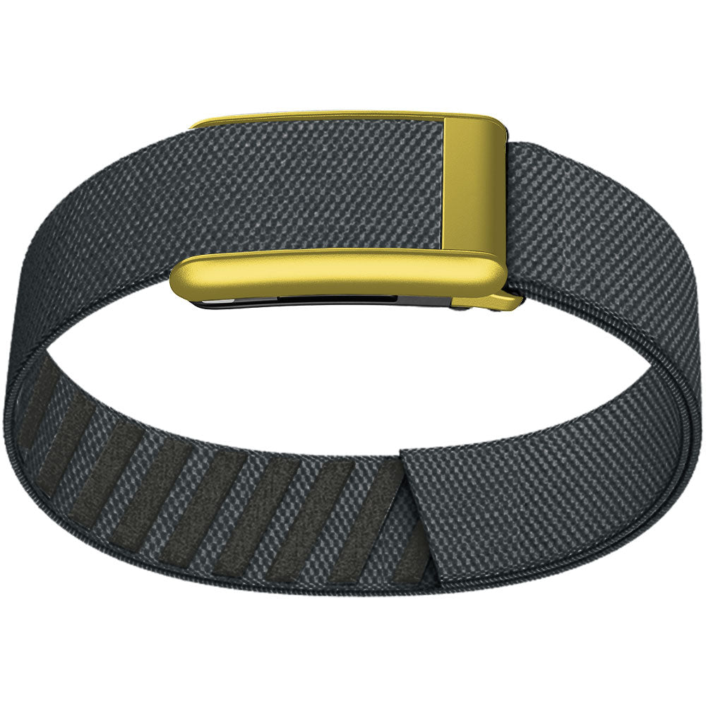 WHOOP 5.0 Bicep Band (Standard) — Matte Gold - 灰