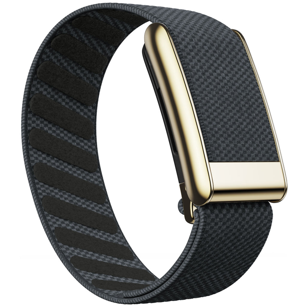 WHOOP 5.0 Standard Woven Band — Titanium Gold - 深灰