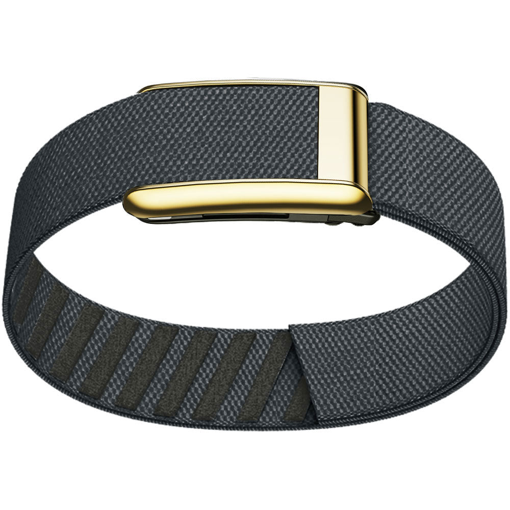 WHOOP 5.0 Bicep Band (Standard) — Titanium Gold - 深灰